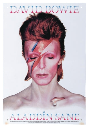 Bowie Aladdin Sane Tin Sign